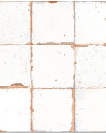Picture of Formentera Bianco Patterned Tiles