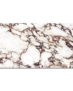 Picture of Calacatta Viola Nouveaux  Matte Porcelain Tiles