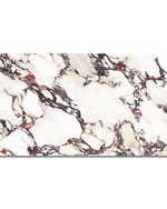 Picture of Calacatta Viola Nouveaux  Matte Porcelain Tiles