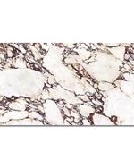 Picture of Calacatta Viola Nouveaux  Matte Porcelain Tiles